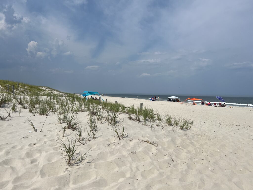 a sandy beach with cars parked on it (MyCoast AI)