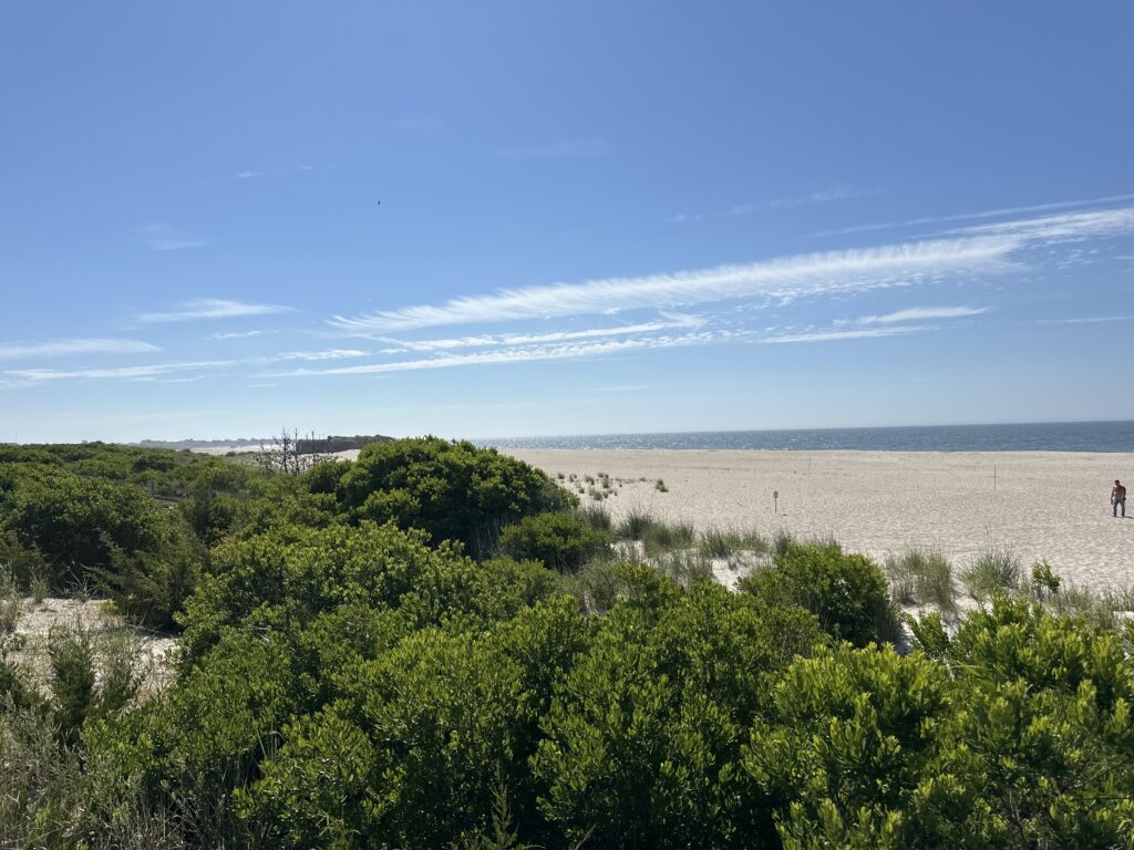 a landscape with trees and a body of water in the background (MyCoast AI)