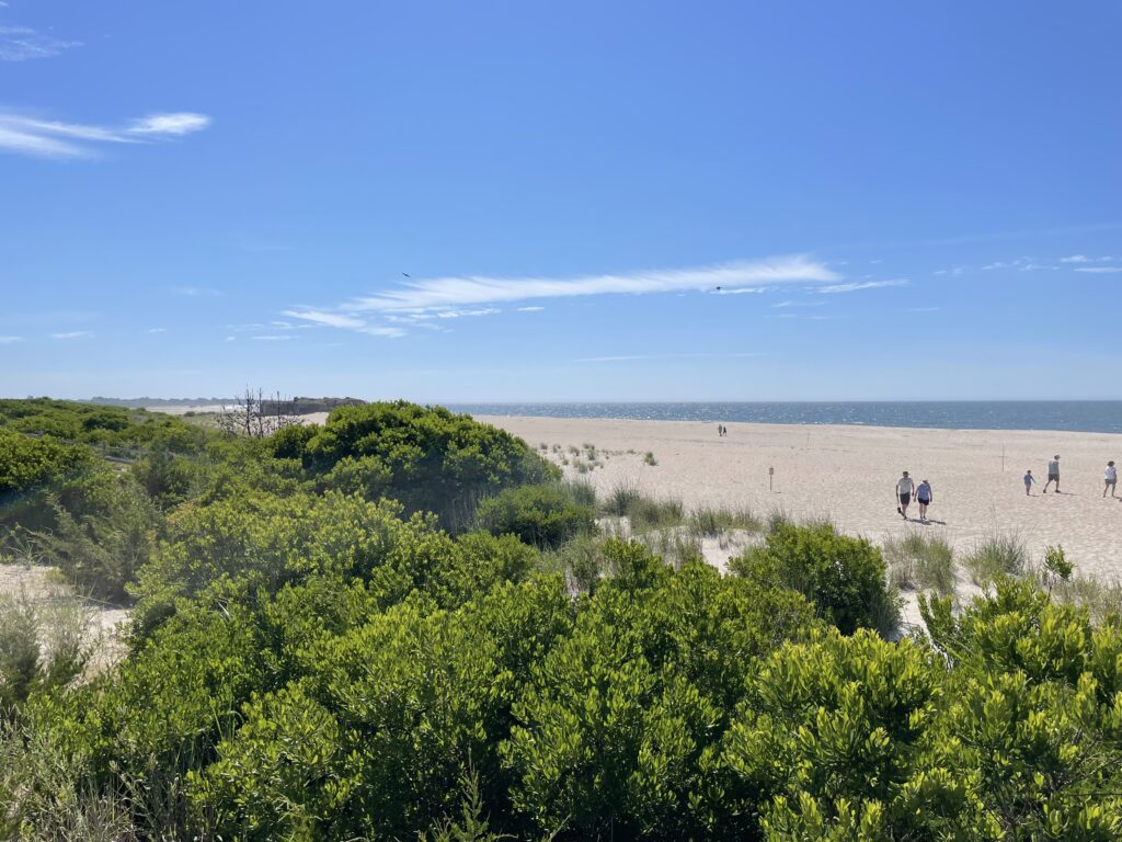 a group of people walking in a field (MyCoast AI)