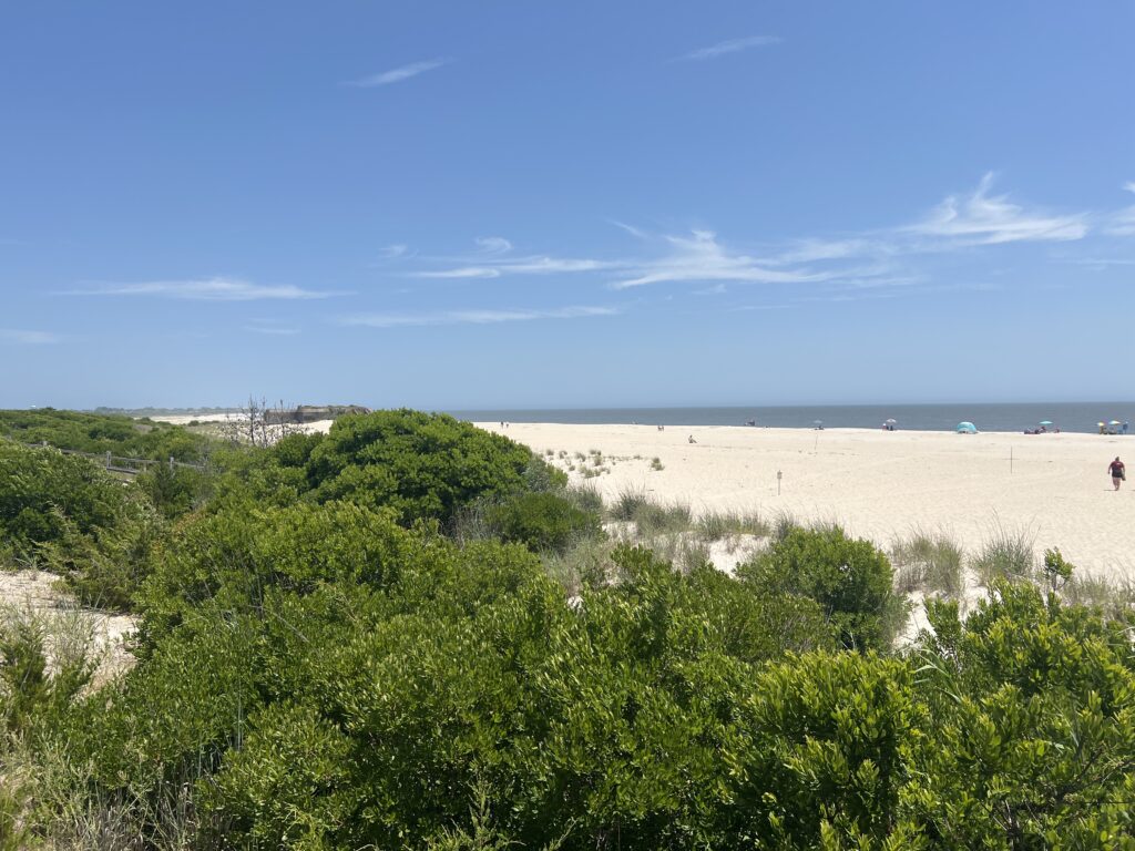a sandy beach with trees and bushes (MyCoast AI)
