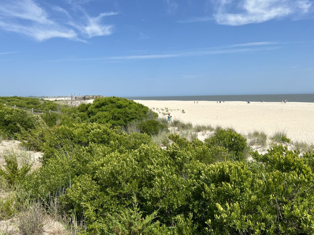 a group of people walking on a beach (MyCoast AI)
