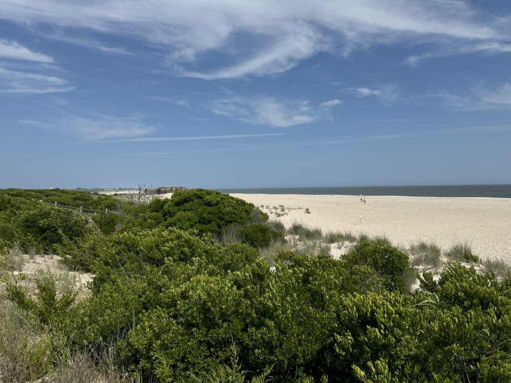 a landscape with trees and bushes (MyCoast AI)