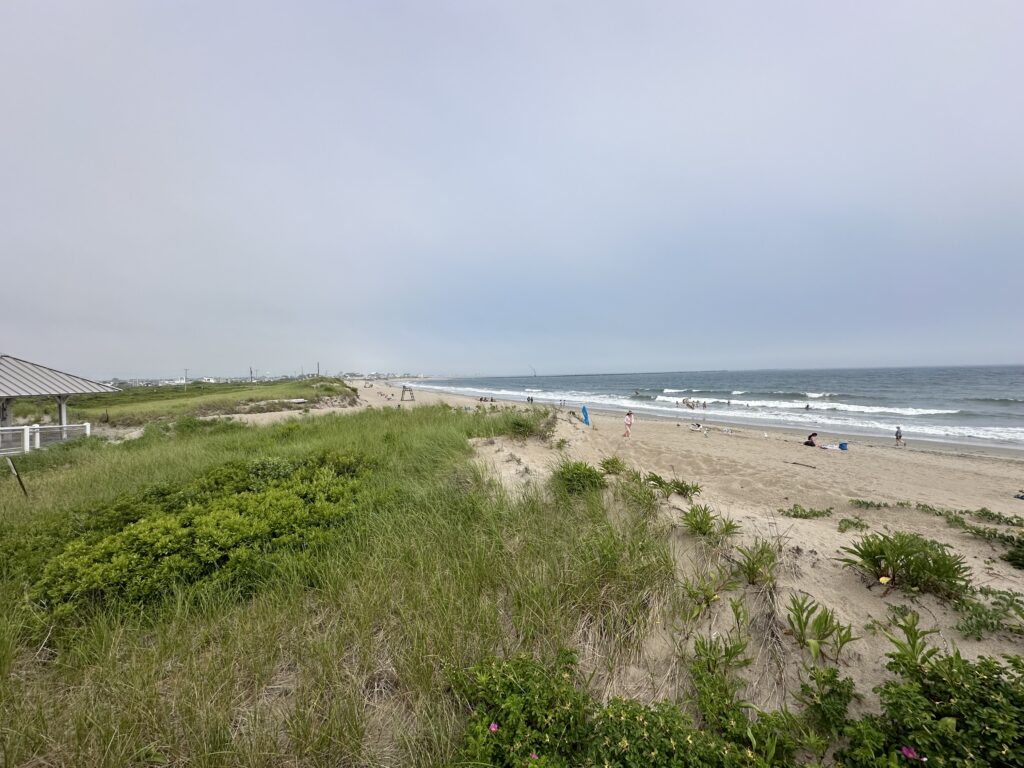 a beach with people on it (MyCoast AI)