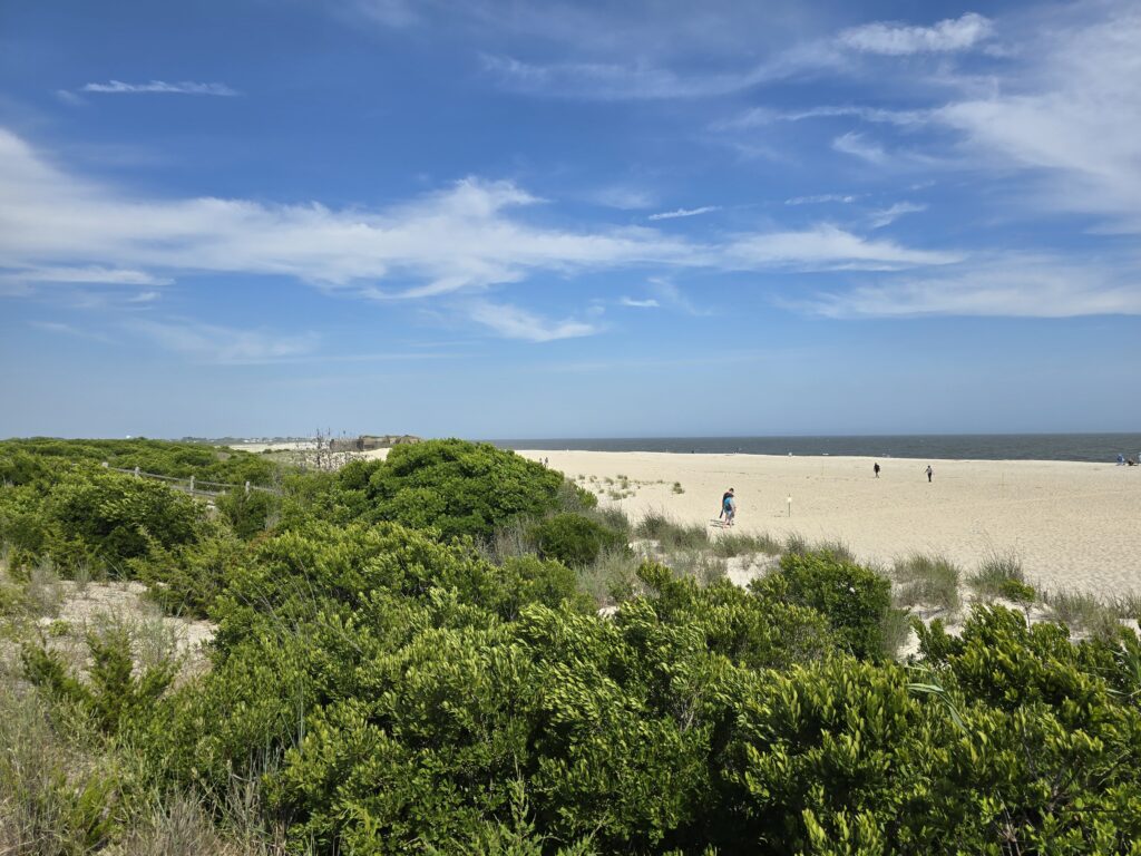 a group of people walking on a beach (MyCoast AI)