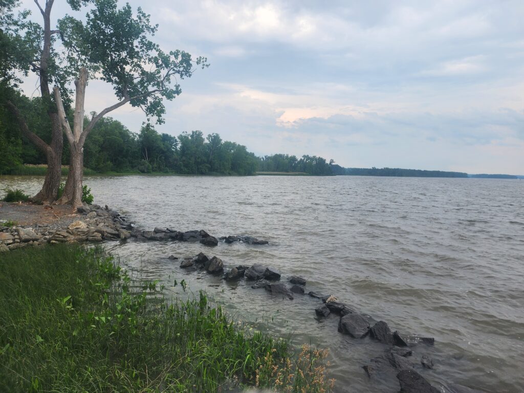 a body of water with rocks and trees around it (MyCoast AI)