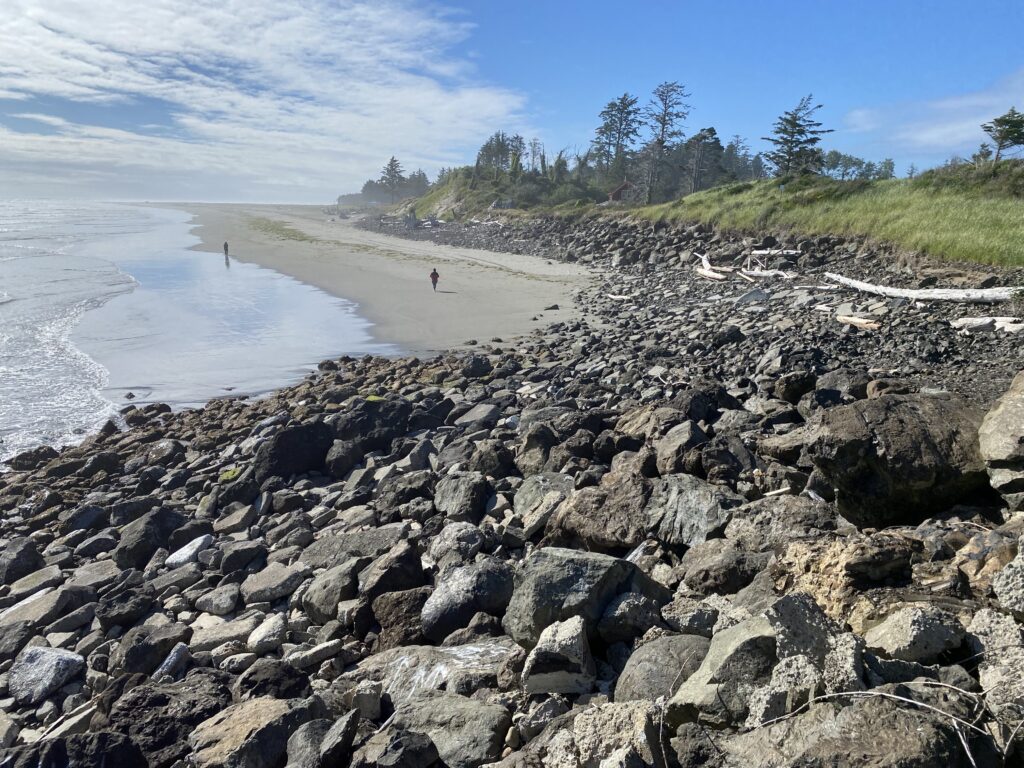 a rocky beach with a body of water and trees (MyCoast AI)