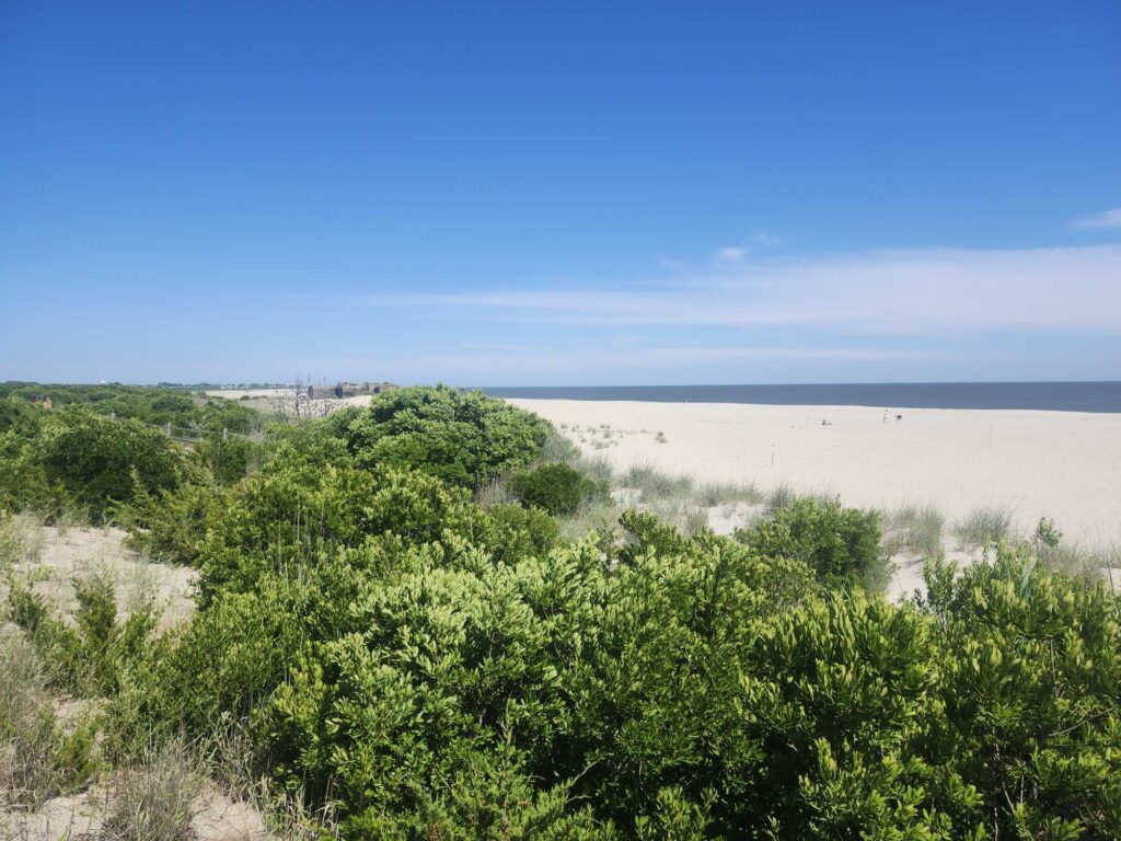a landscape with trees and water in the background (MyCoast AI)