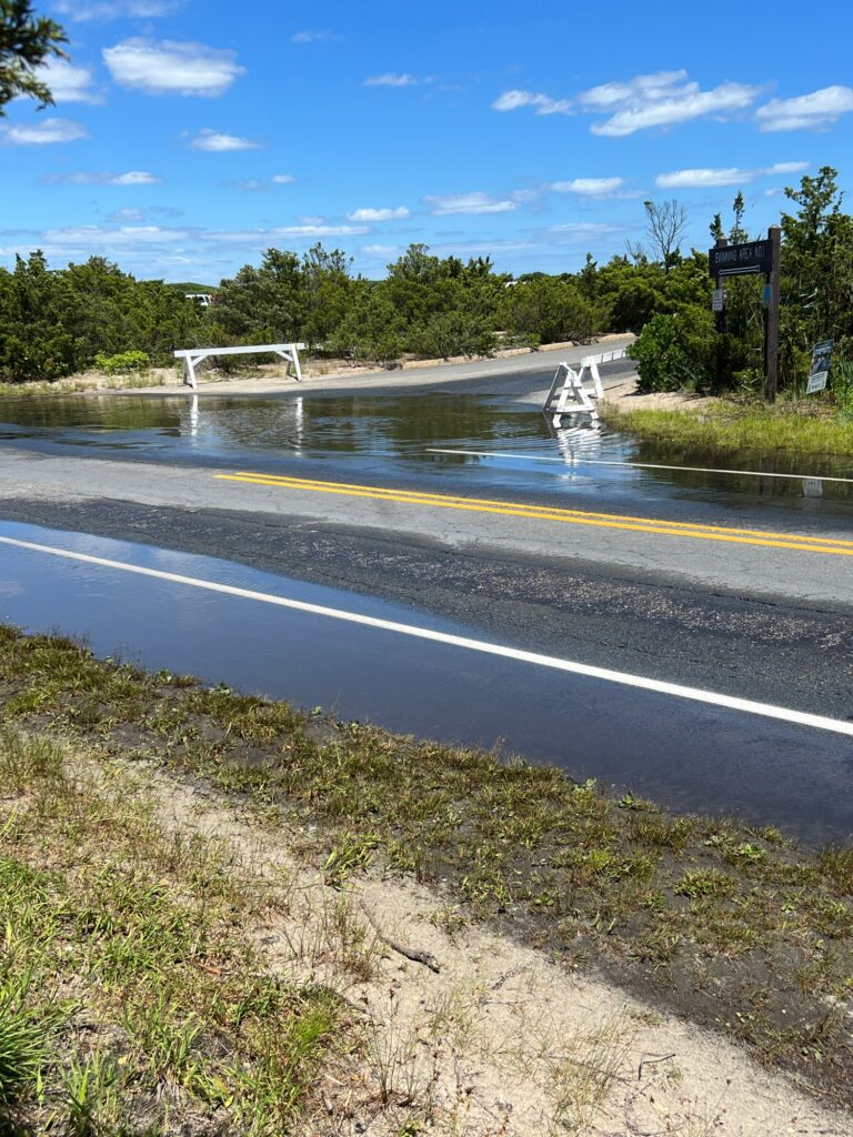 a flooded road with a bench (MyCoast AI)