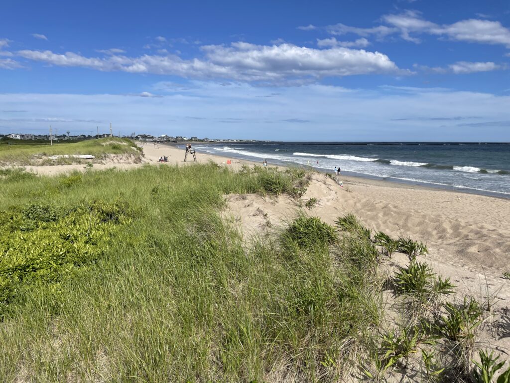 a beach with people walking on it (MyCoast AI)