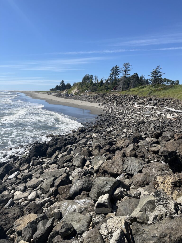 a rocky beach with trees and water (MyCoast AI)