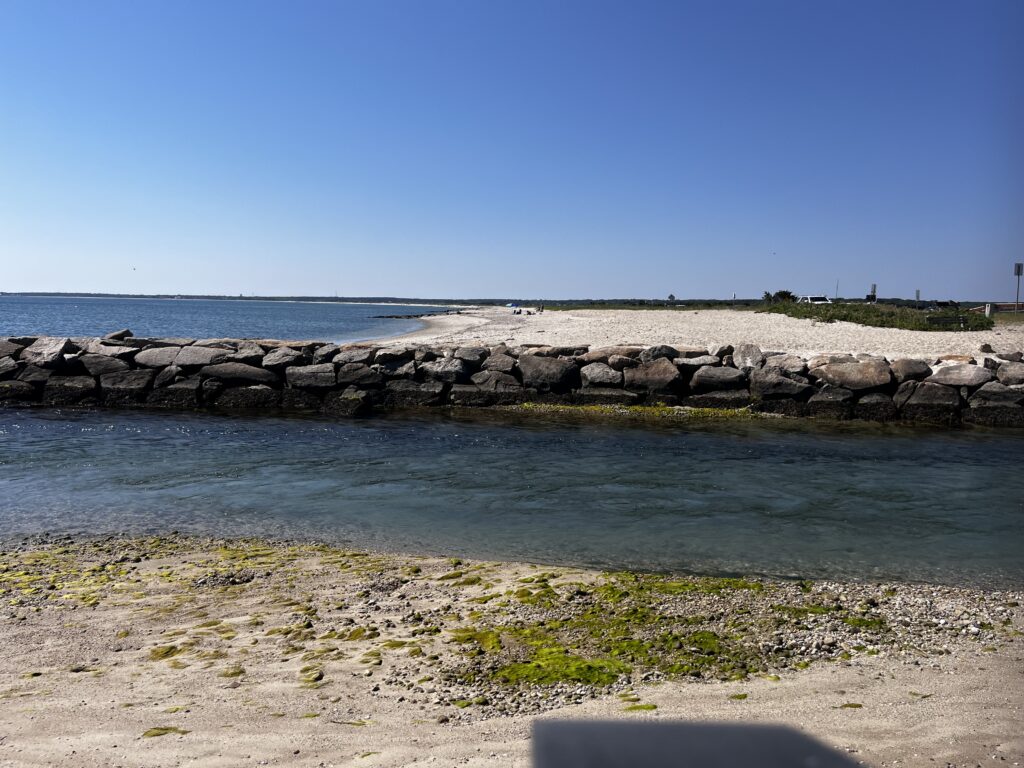 a rocky beach with a body of water in the background (MyCoast AI)