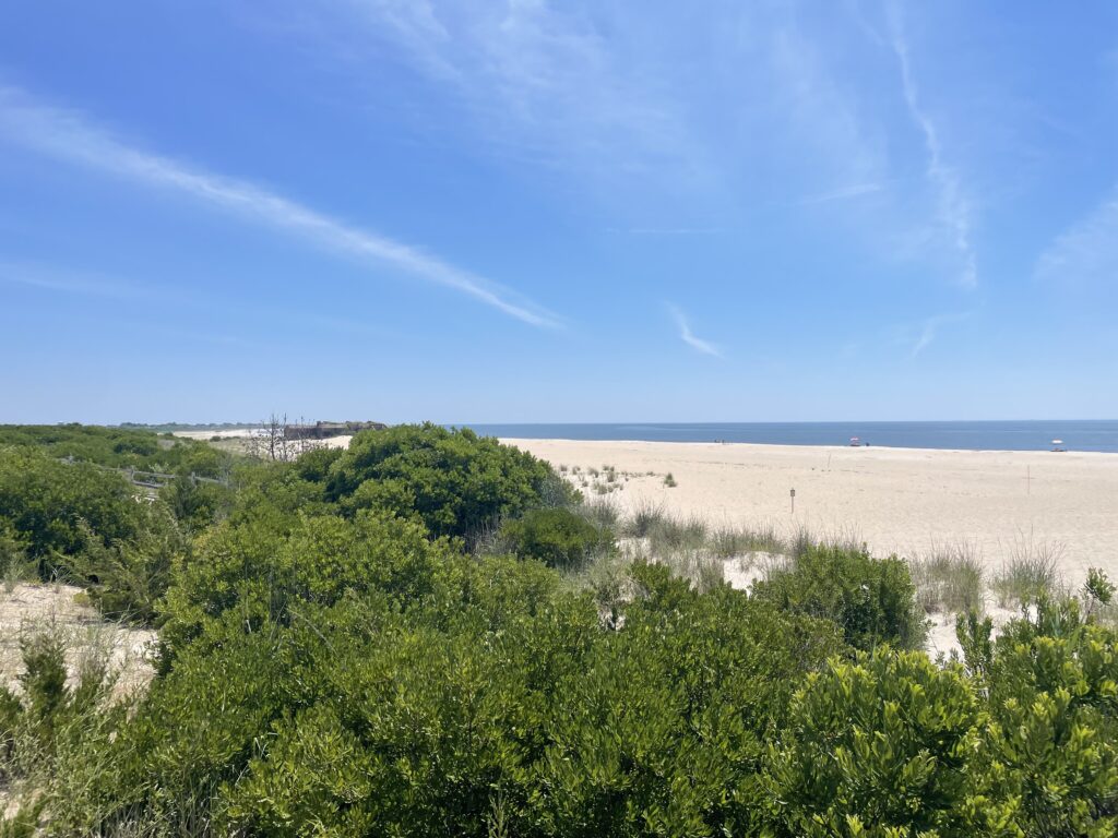 a landscape with trees and bushes (MyCoast AI)