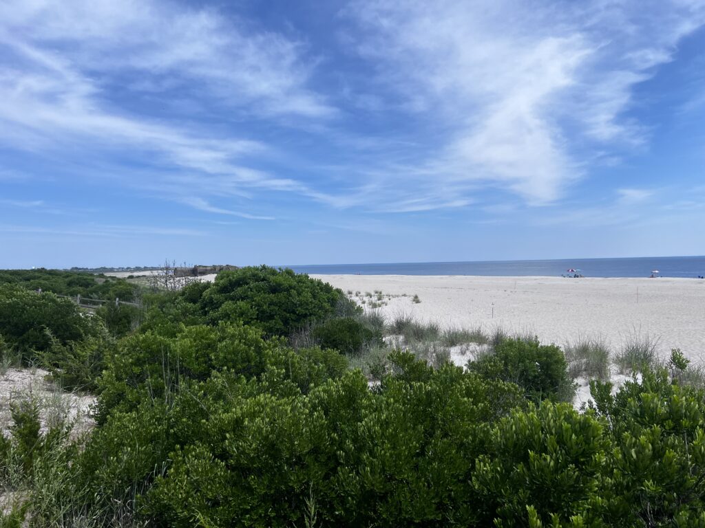 a beach with bushes and trees (MyCoast AI)