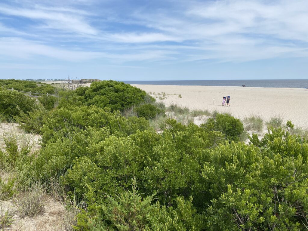 a group of people riding horses on a sandy beach (MyCoast AI)