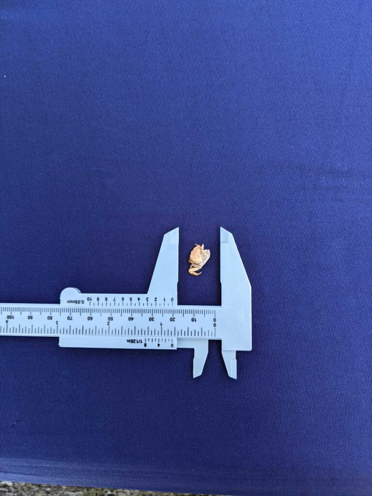 a model of a space ship (MyCoast AI)
