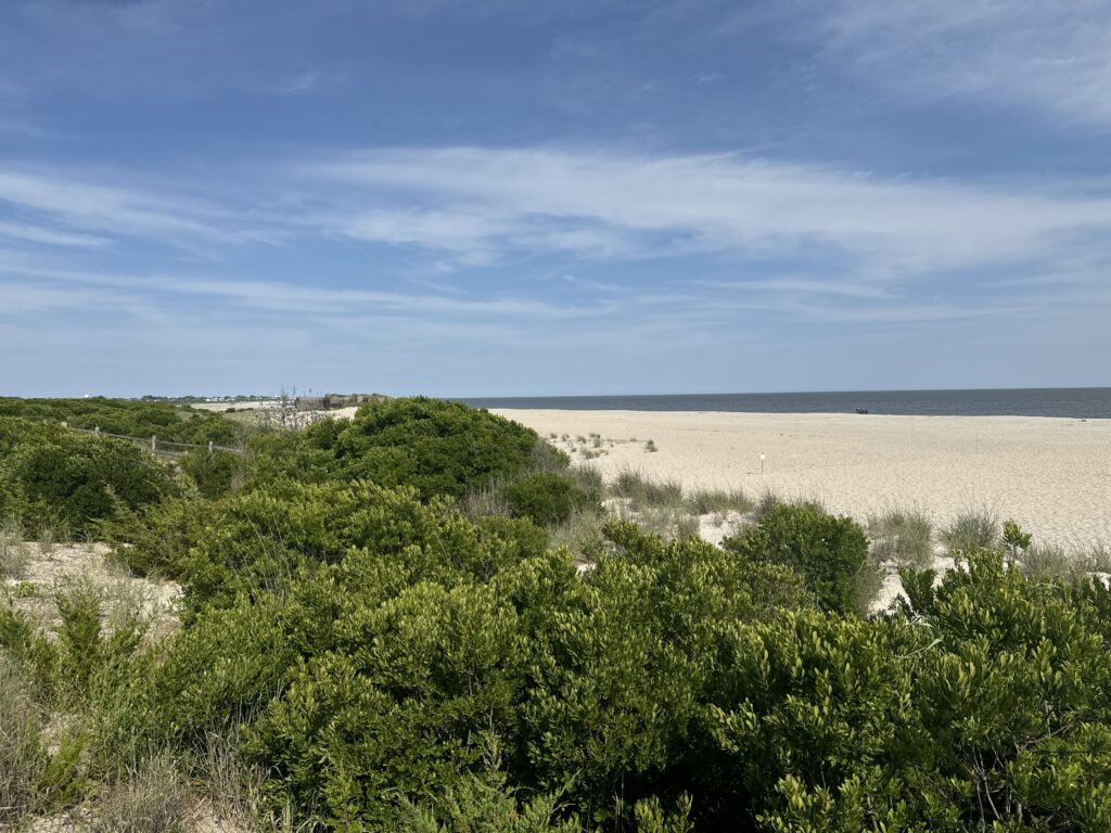 a landscape with trees and bushes (MyCoast AI)