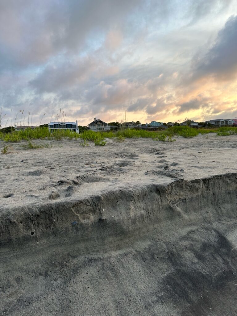 a beach with houses and grass (MyCoast AI)