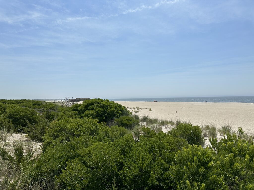 a landscape with trees and bushes (MyCoast AI)