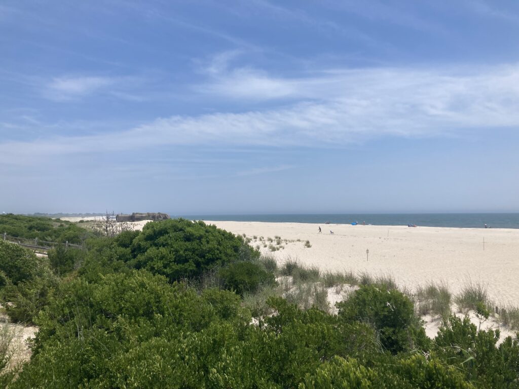 a sandy beach with trees and bushes (MyCoast AI)