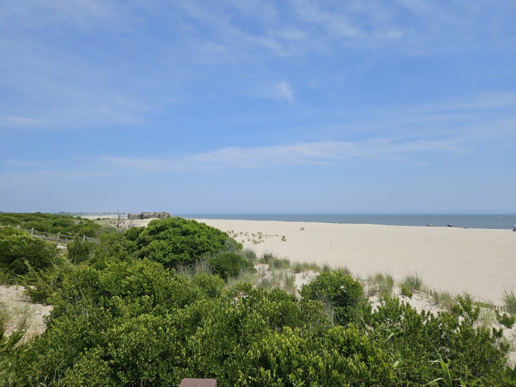 a beach with trees and bushes (MyCoast AI)