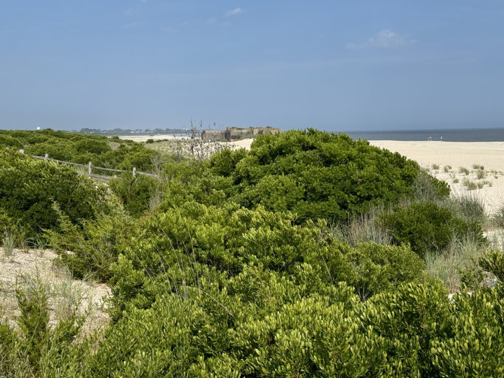 a landscape with trees and bushes (MyCoast AI)
