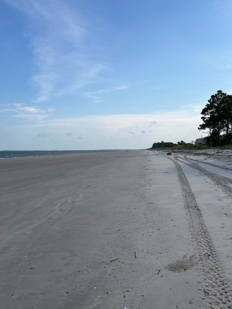 a sandy beach with a tree (MyCoast AI)