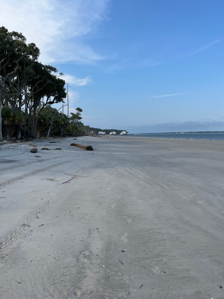 a sandy beach with trees and blue sky (MyCoast AI)