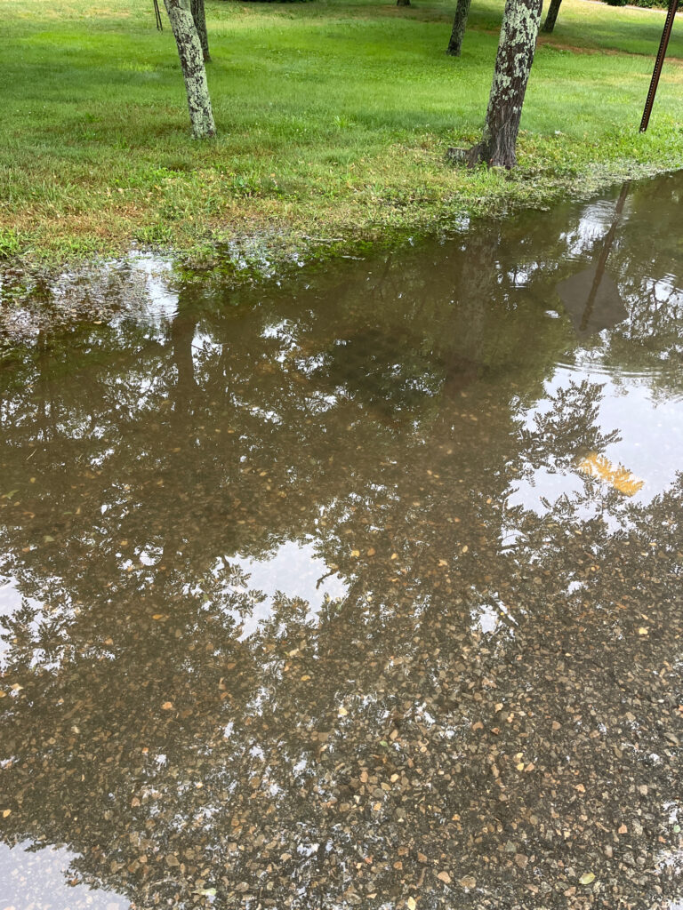 a pond with grass and trees (MyCoast AI)