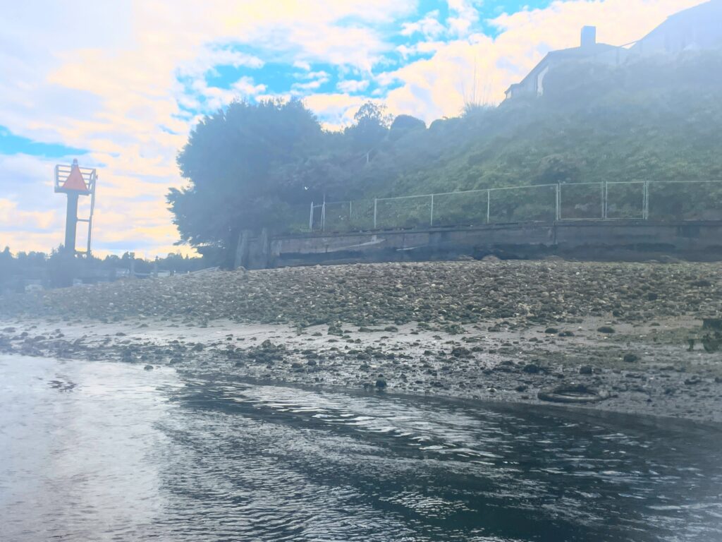 a body of water with a bridge and mountains in the background (MyCoast AI)