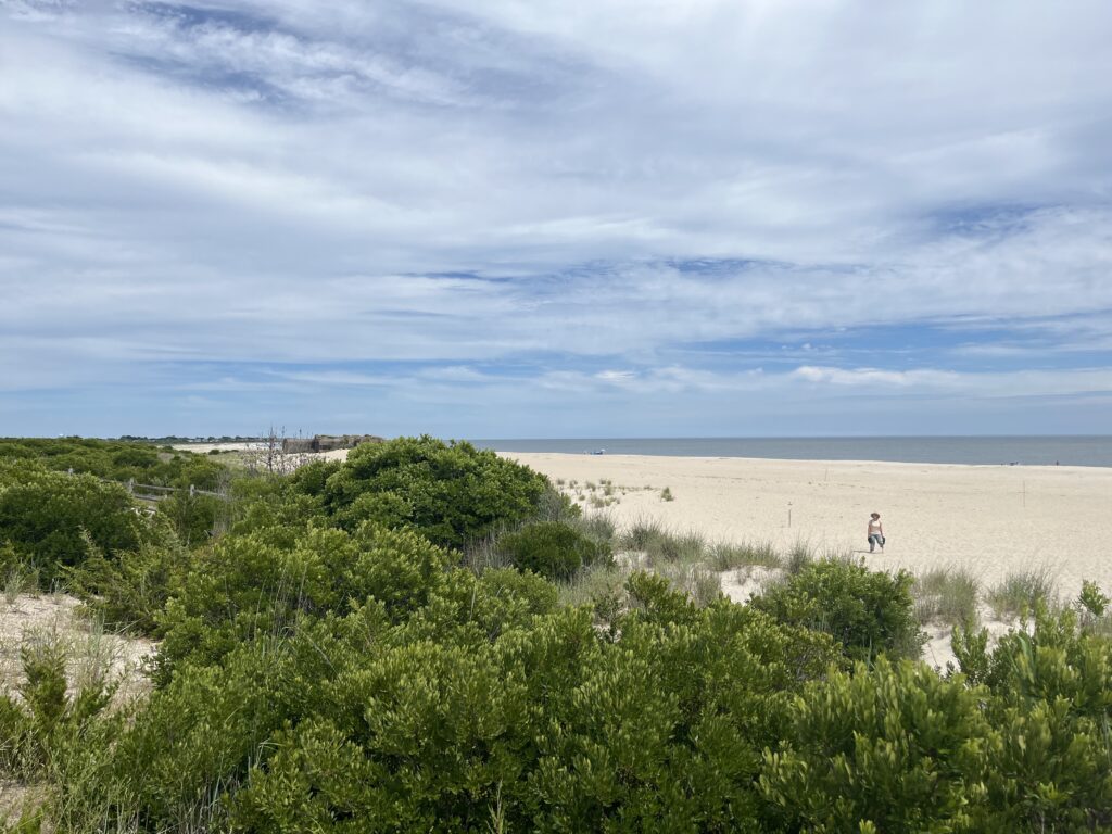 a person walking on a beach (MyCoast AI)