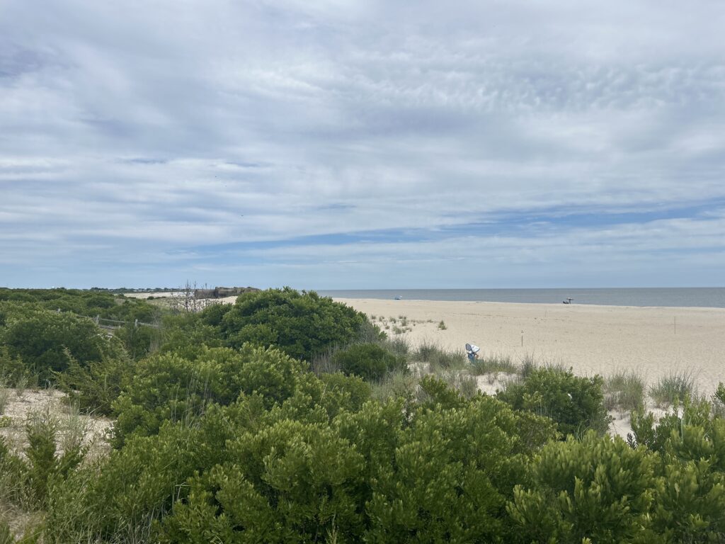 a beach with trees and bushes (MyCoast AI)