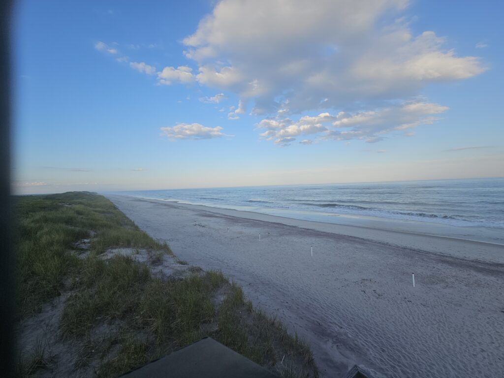 a beach with a body of water in the background (MyCoast AI)