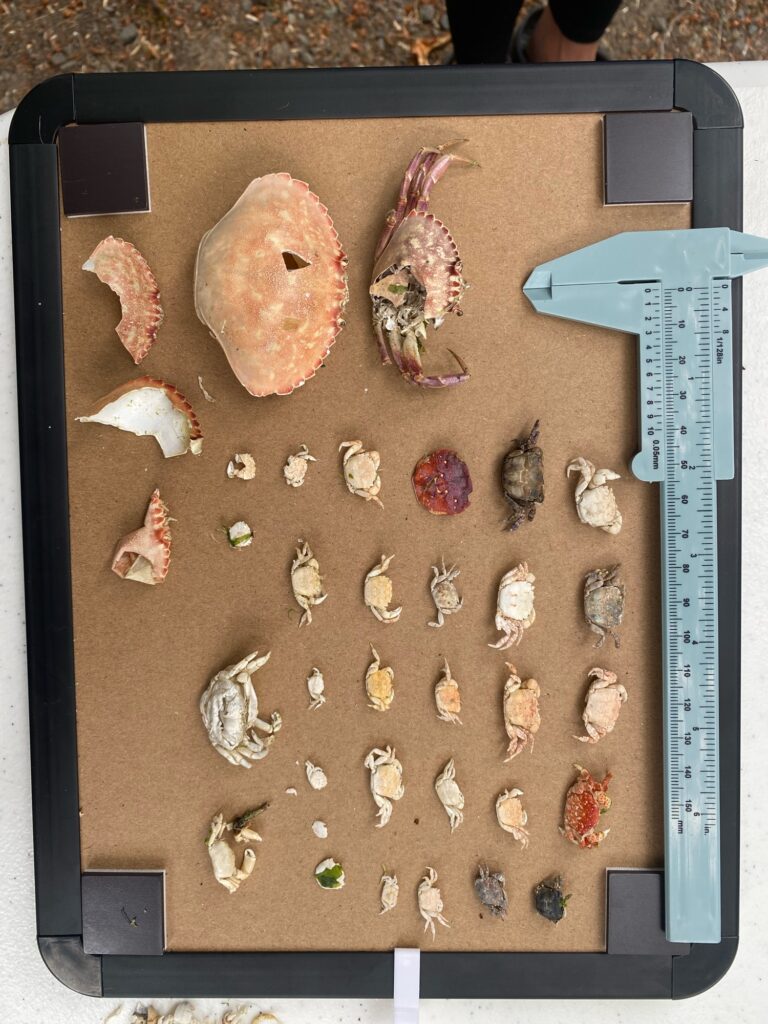 a group of objects on a table (MyCoast AI)