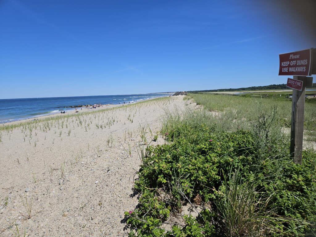 a beach with a sign (MyCoast AI)