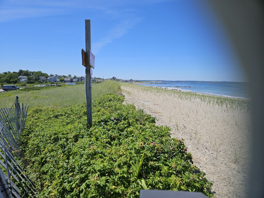 a beach with a fence and plants (MyCoast AI)