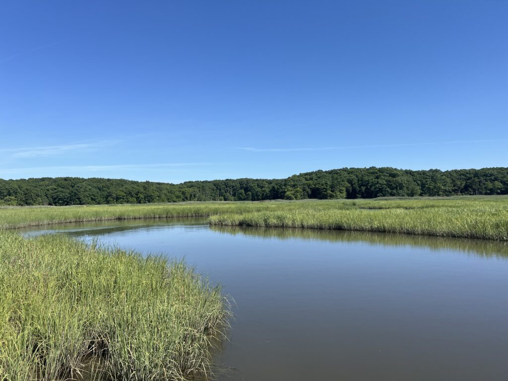 a body of water with grass and trees around it (MyCoast AI)