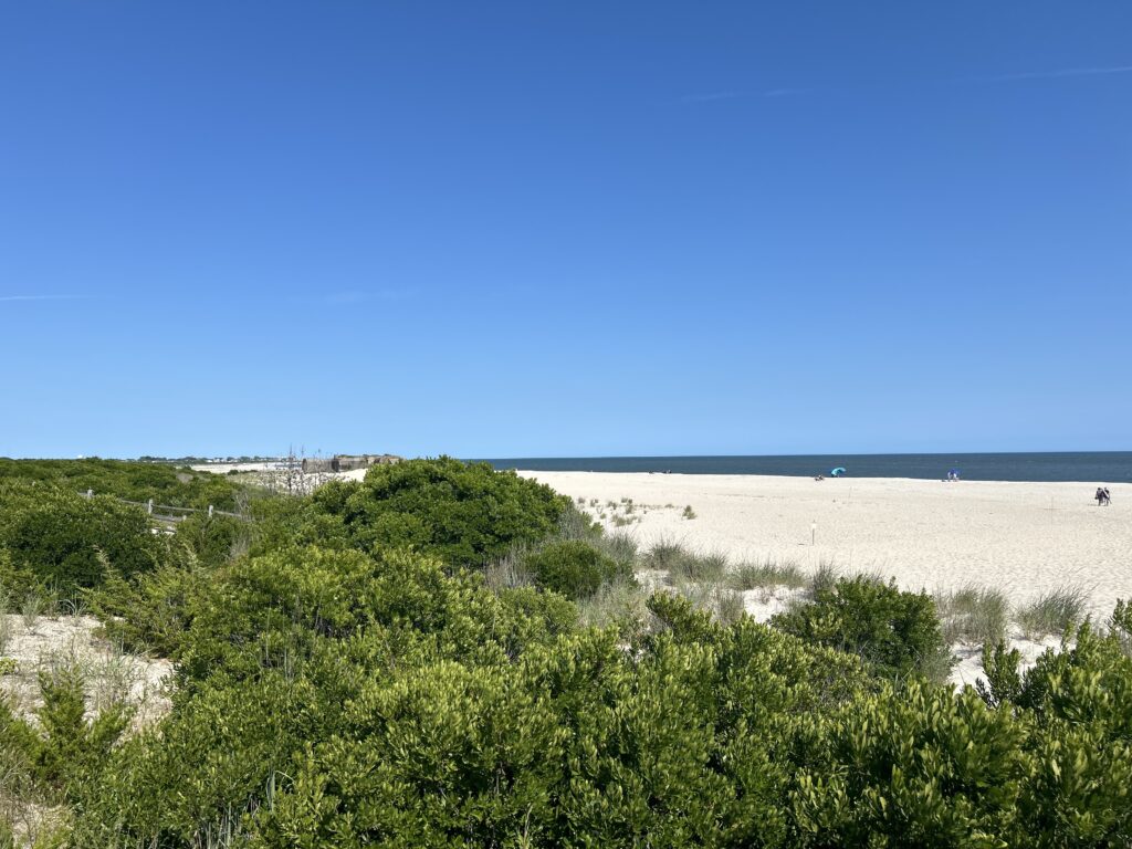 a sandy beach with bushes and trees (MyCoast AI)