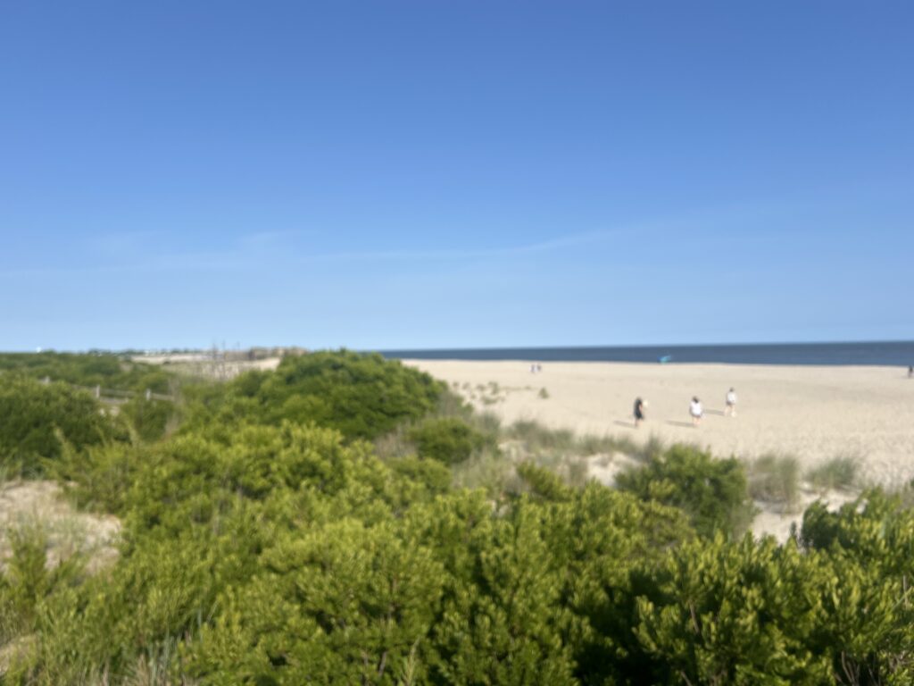 a group of people walking on a beach (MyCoast AI)