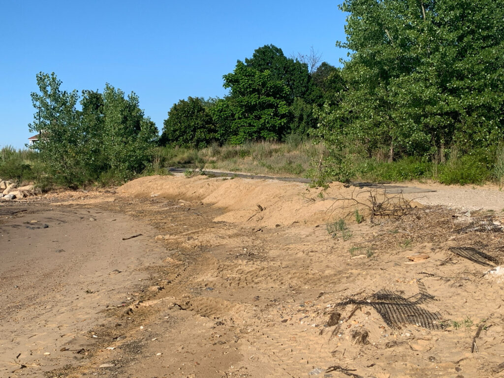 a sandy area with trees in the background (MyCoast AI)