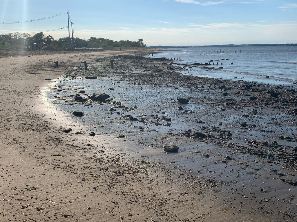 a beach with rocks and water (MyCoast AI)
