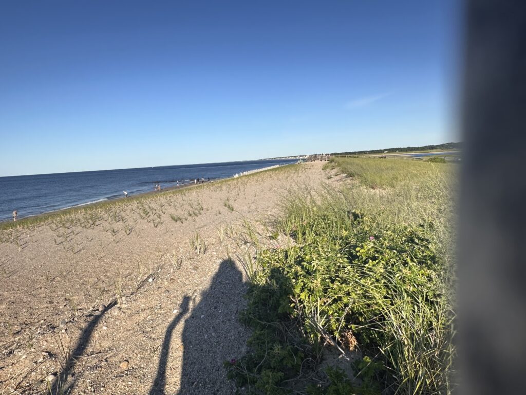 a sandy beach with grass and water (MyCoast AI)