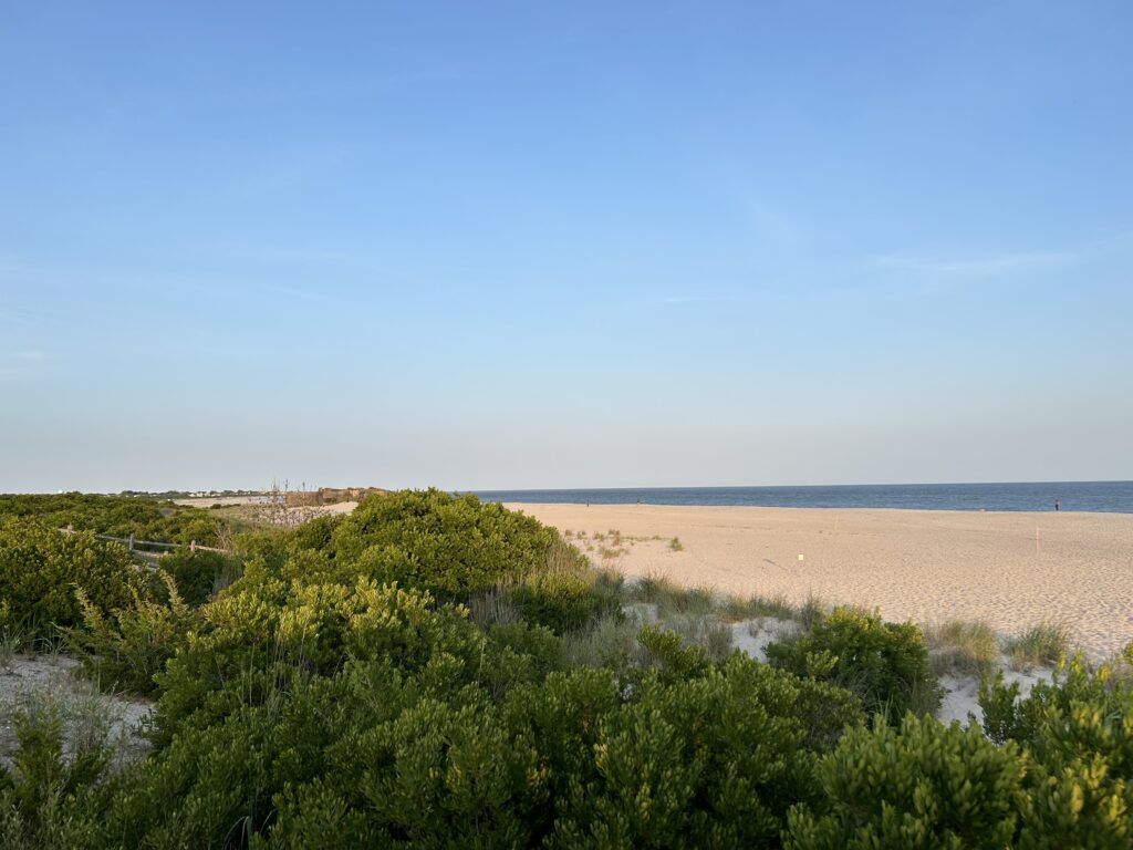a sandy beach with trees (MyCoast AI)