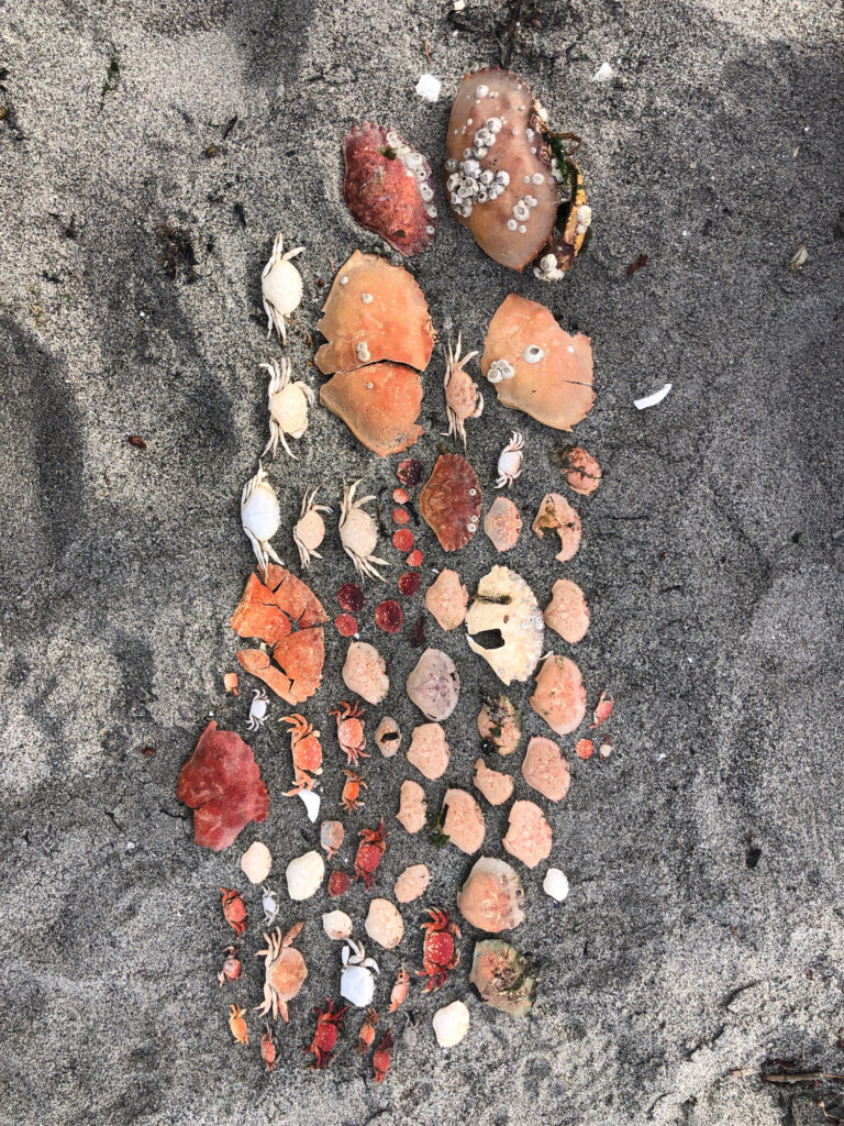 a group of red and white objects on a concrete surface (MyCoast AI)