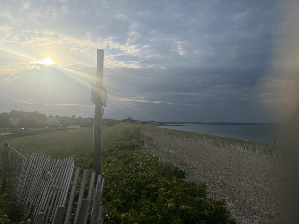 a fence and a field (MyCoast AI)