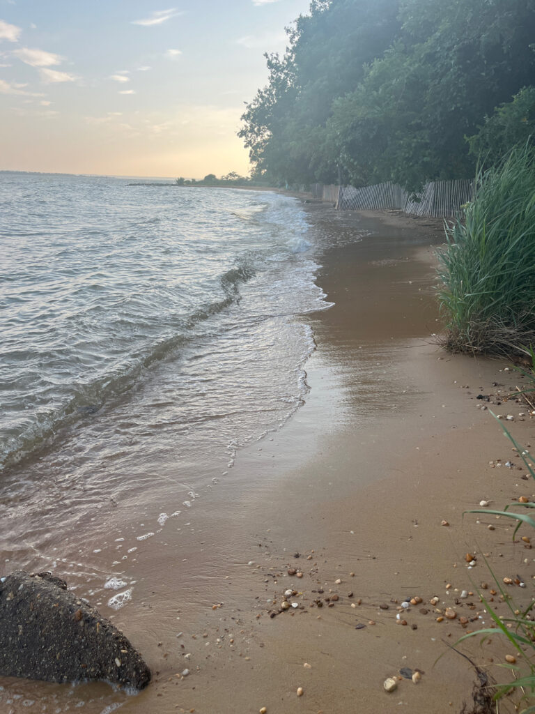a beach with a fence and trees (MyCoast AI)