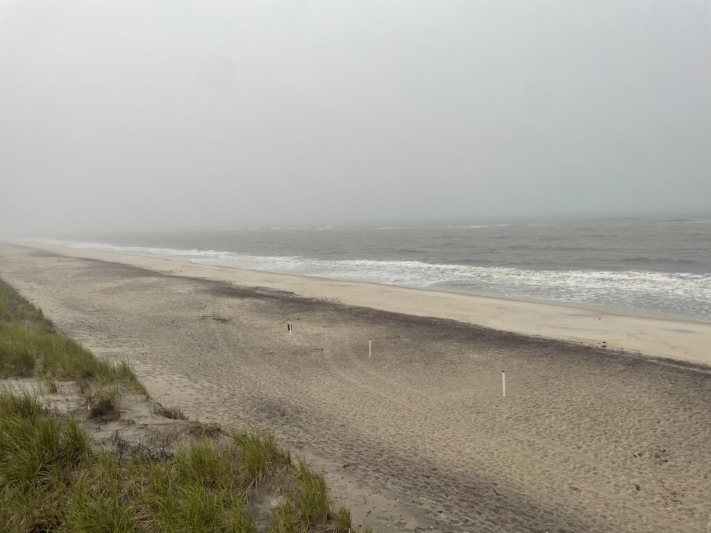 a beach with waves crashing on it (MyCoast AI)