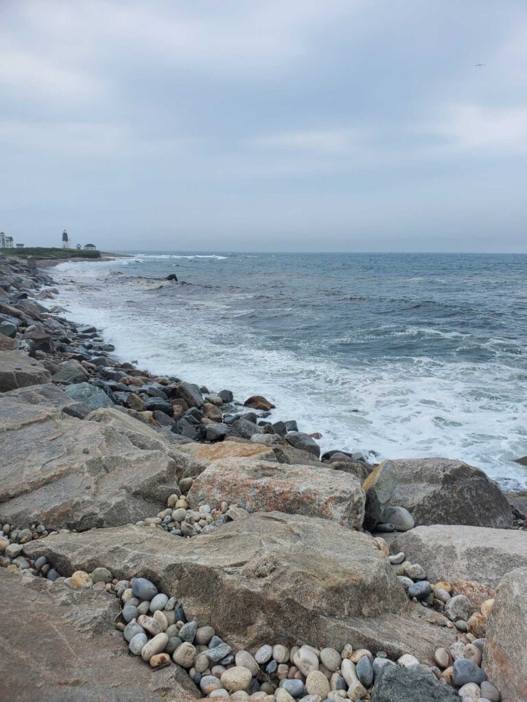 a rocky beach with a body of water in the background (MyCoast AI)