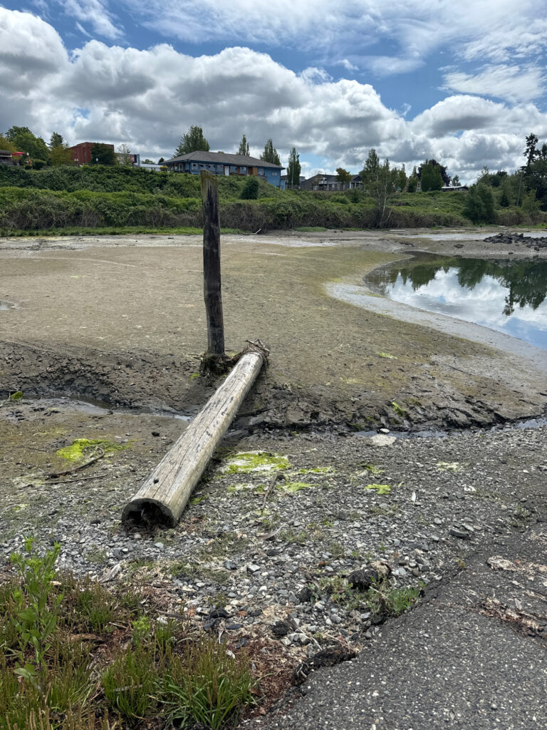 a wooden bench on a beach (MyCoast AI)