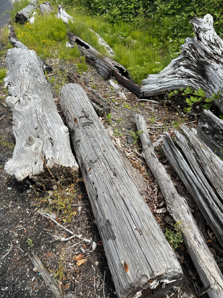 a group of wood benches (MyCoast AI)
