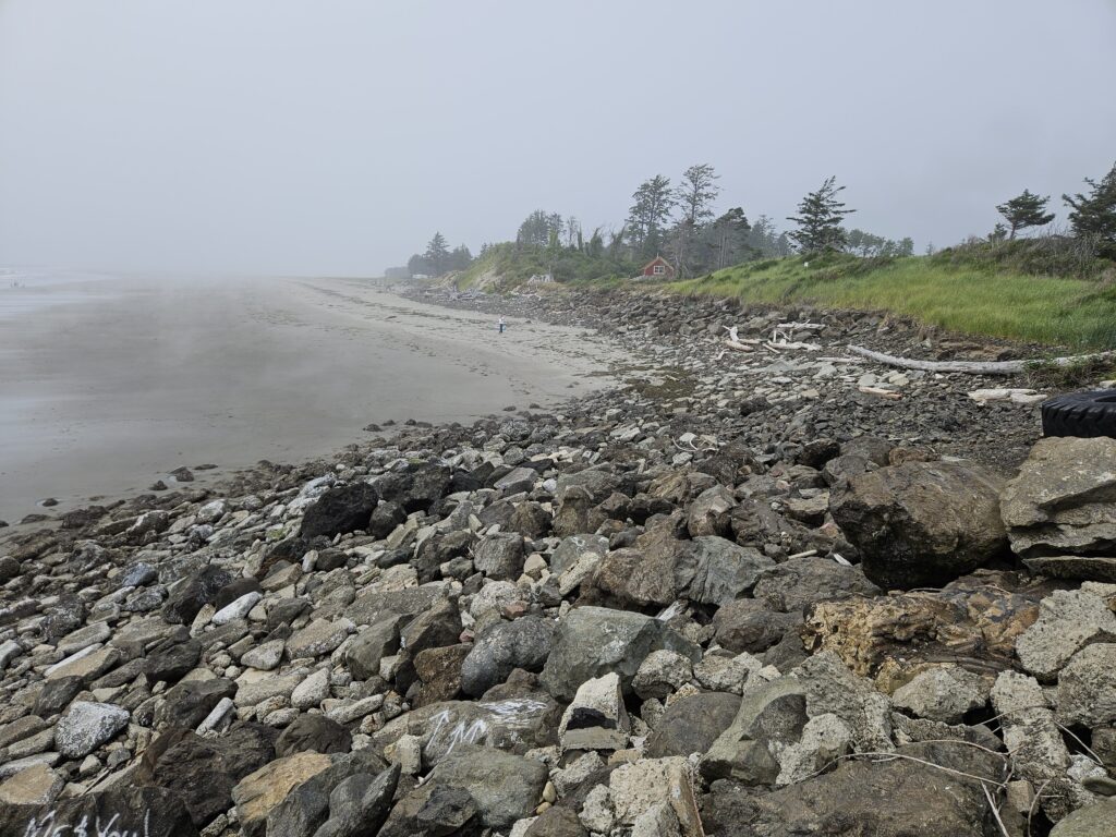 a rocky beach with trees and fog (MyCoast AI)